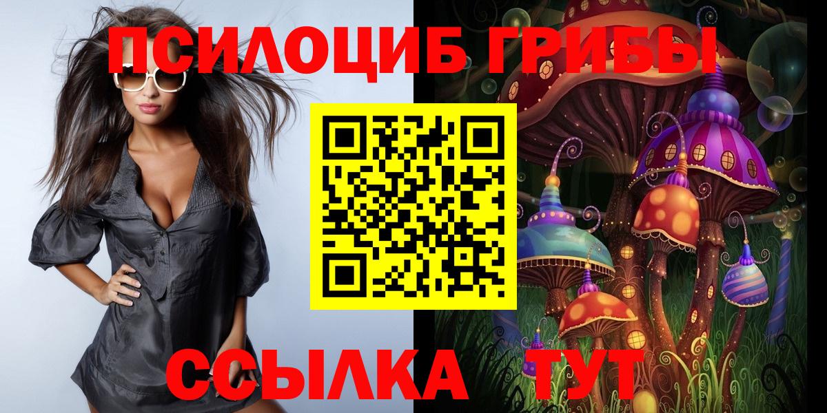 где купить наркоту  Псилоцибиновые грибы Cubensis  Вход с VPN  Симферополь 